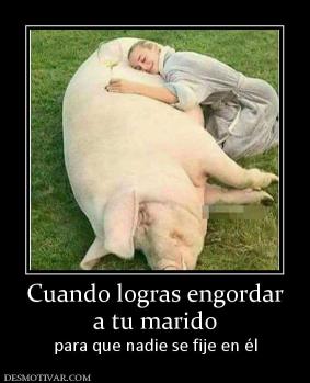 Cuando logras engordar a tu marido para que nadie se fije en él