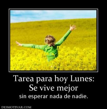 Tarea para hoy Lunes: Se vive mejor  sin esperar nada de nadie.