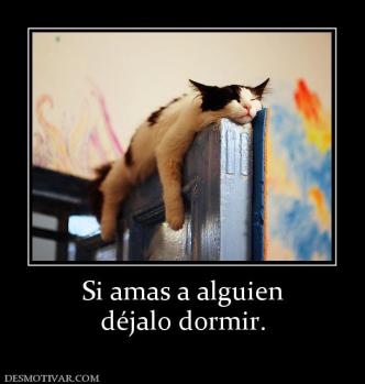 Si amas a alguien déjalo dormir.