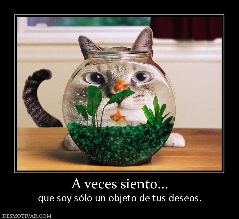 A veces siento... que soy sólo un objeto de tus deseos.