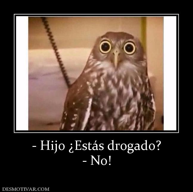 - Hijo ¿Estás drogado? - No!
