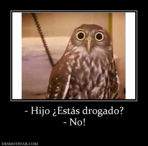 - Hijo ¿Estás drogado? - No!