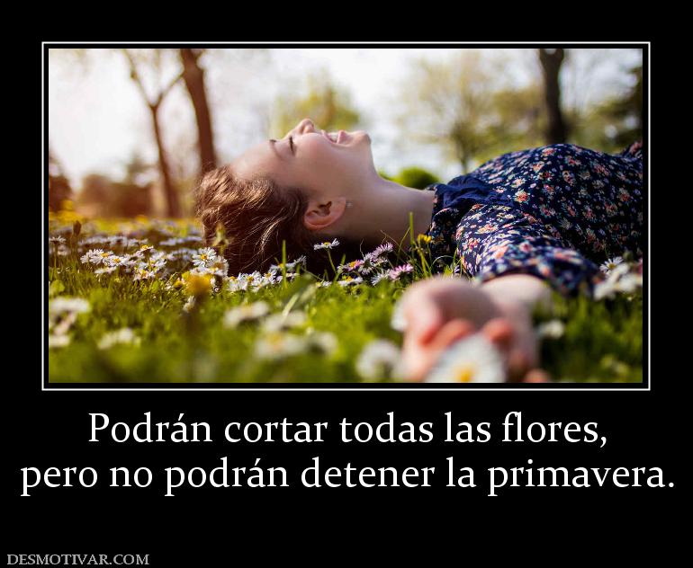 Podrán cortar todas las flores, pero no podrán detener la primavera.
