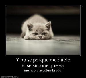Y no se porque me duele si se supone que ya me había acostumbrado.