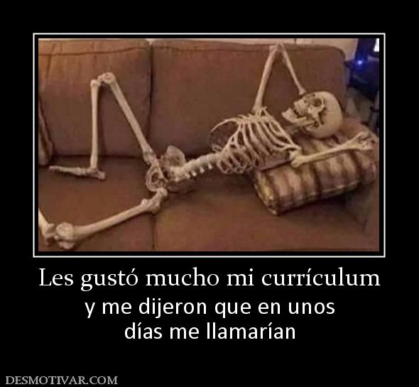 Les gustó mucho mi currículum y me dijeron que en unos días me llamarían