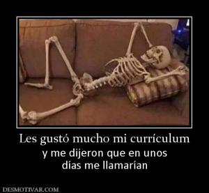 Les gustó mucho mi currículum y me dijeron que en unos días me llamarían