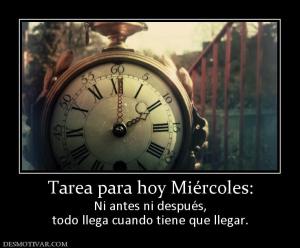 Tarea para hoy Miércoles: Ni antes ni después, todo llega cuando tiene que llegar.