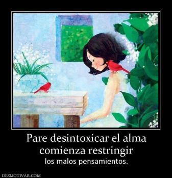 Pare desintoxicar el alma comienza restringir  los malos pensamientos.