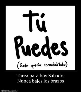 Tarea para hoy Sábado: Nunca bajes los brazos