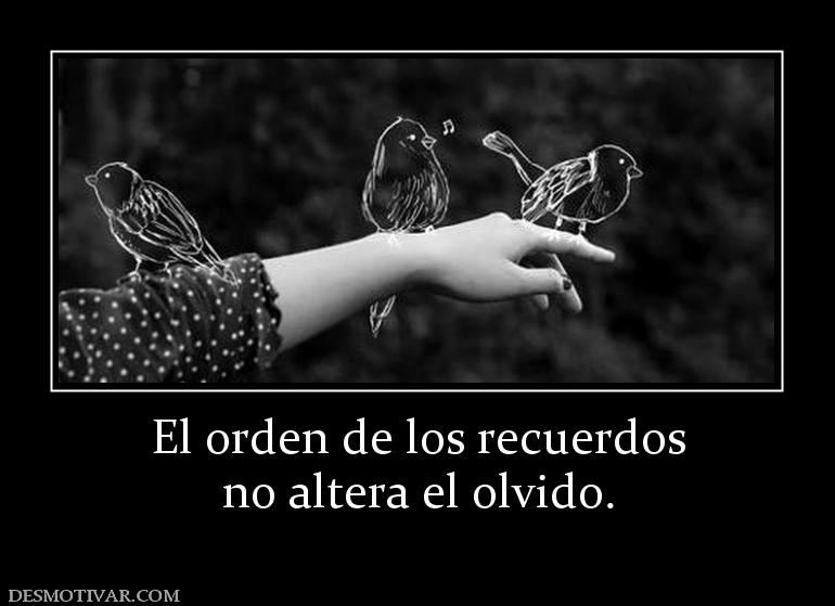 El orden de los recuerdos no altera el olvido.