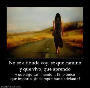 No se a donde voy, sé que camino y que vivo, que aprendo  y que sigo caminando... Es lo único que importa. ¡Ir siempre hacia adelante!