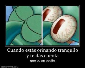 Cuando estás orinando tranquilo y te das cuenta  que es un sueño