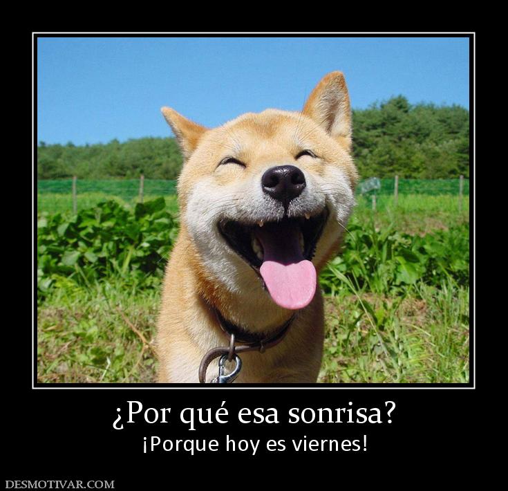 ¿Por qué esa sonrisa? ¡Porque hoy es viernes!