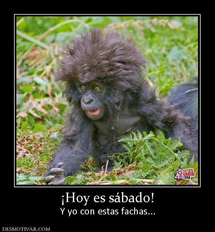 ¡Hoy es sábado! Y yo con estas fachas...