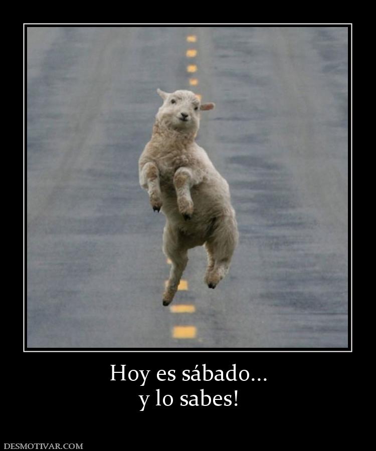 Hoy es sábado... y lo sabes!