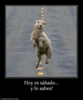 Hoy es sábado... y lo sabes!