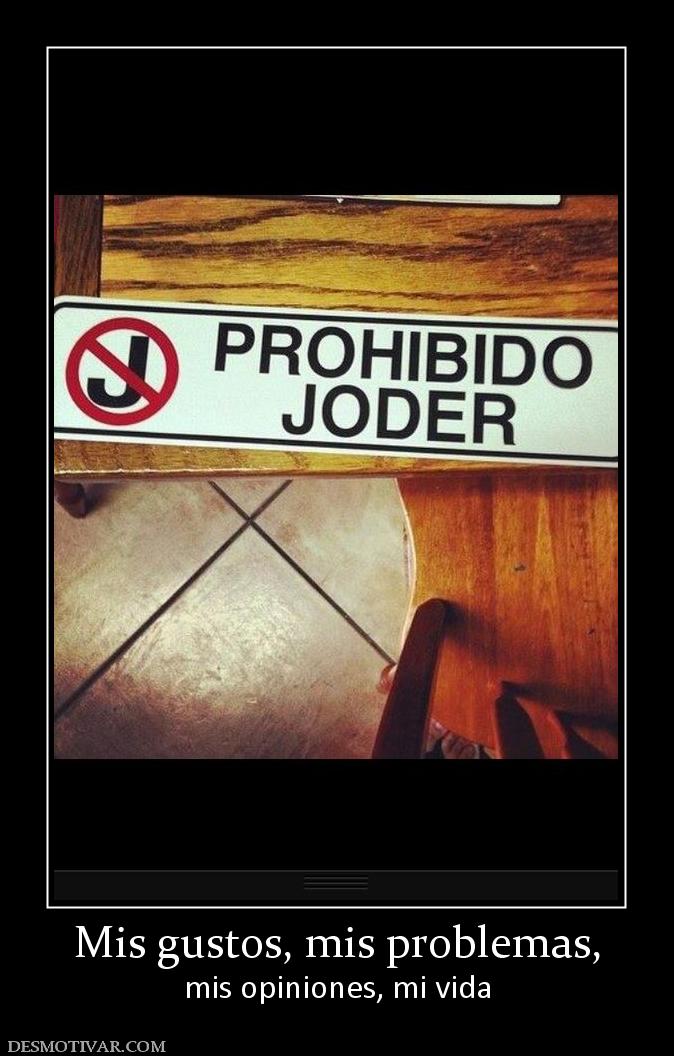 Mis gustos, mis problemas, mis opiniones, mi vida