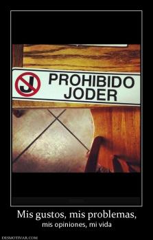 Mis gustos, mis problemas, mis opiniones, mi vida