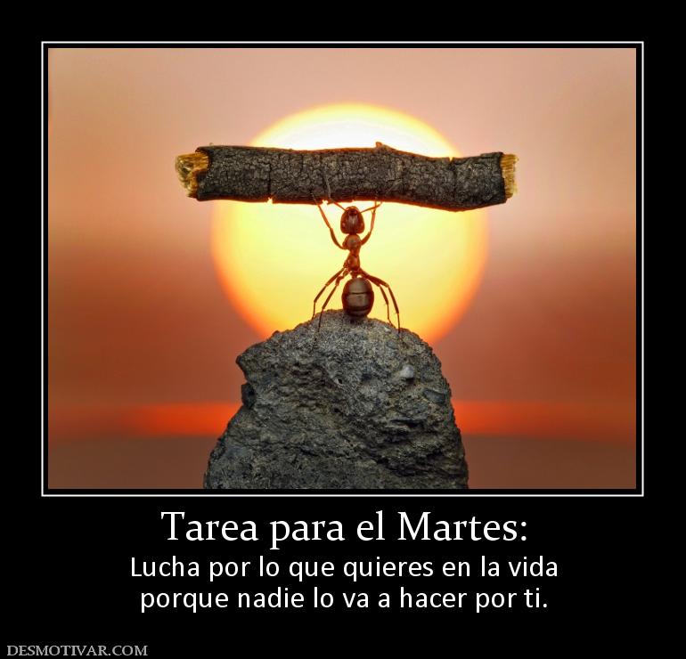 Tarea para el Martes: Lucha por lo que quieres en la vida porque nadie lo va a hacer por ti.