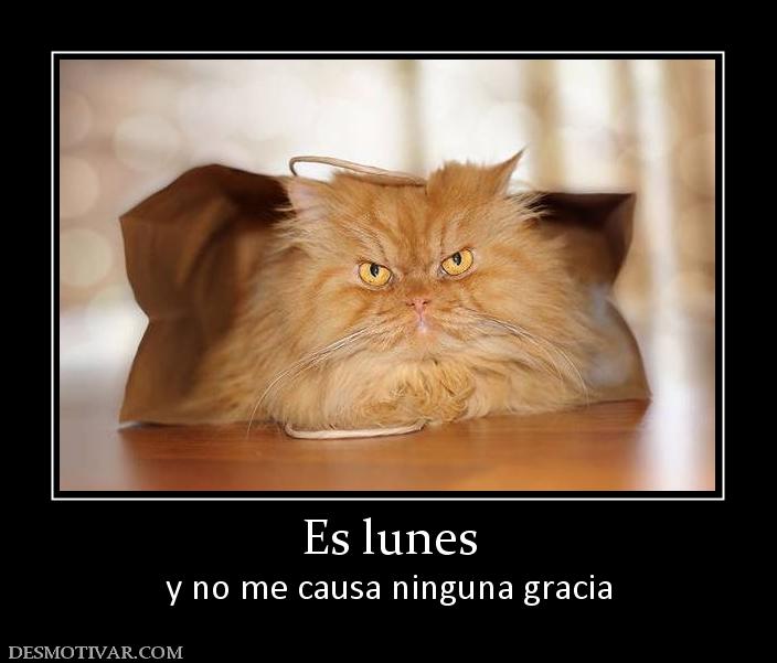 Es lunes y no me causa ninguna gracia