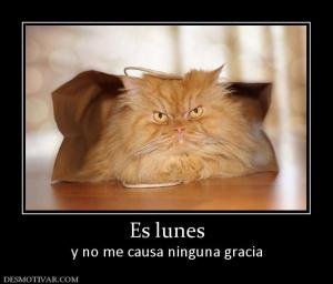 Es lunes y no me causa ninguna gracia