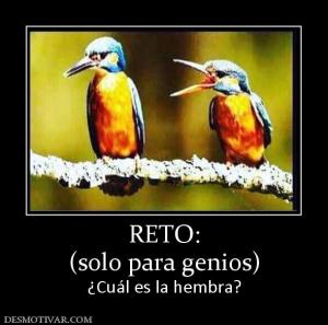 RETO: (solo para genios) ¿Cuál es la hembra?