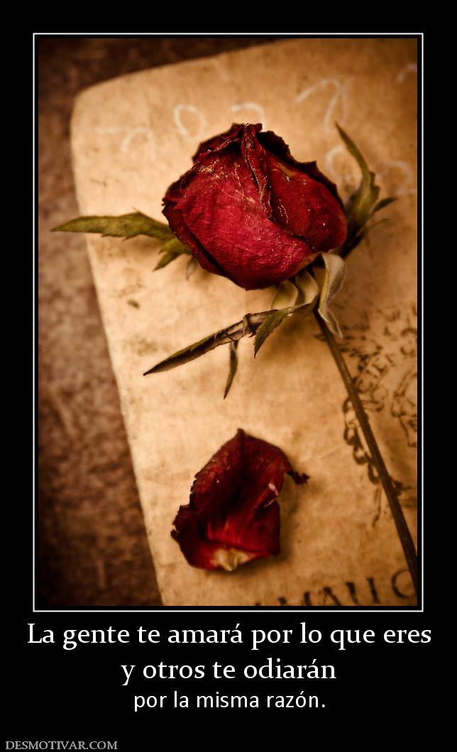 La gente te amará por lo que eres y otros te odiarán  por la misma razón.