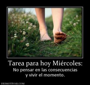 Tarea para hoy Miércoles: No pensar en las consecuencias y vivir el momento.