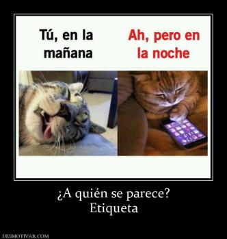 ¿A quién se parece? Etiqueta