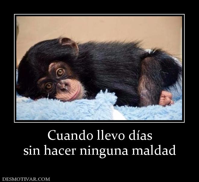 Cuando llevo días sin hacer ninguna maldad
