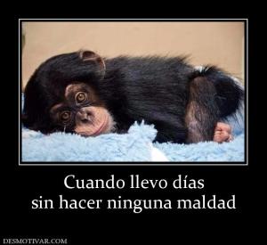 Cuando llevo días sin hacer ninguna maldad