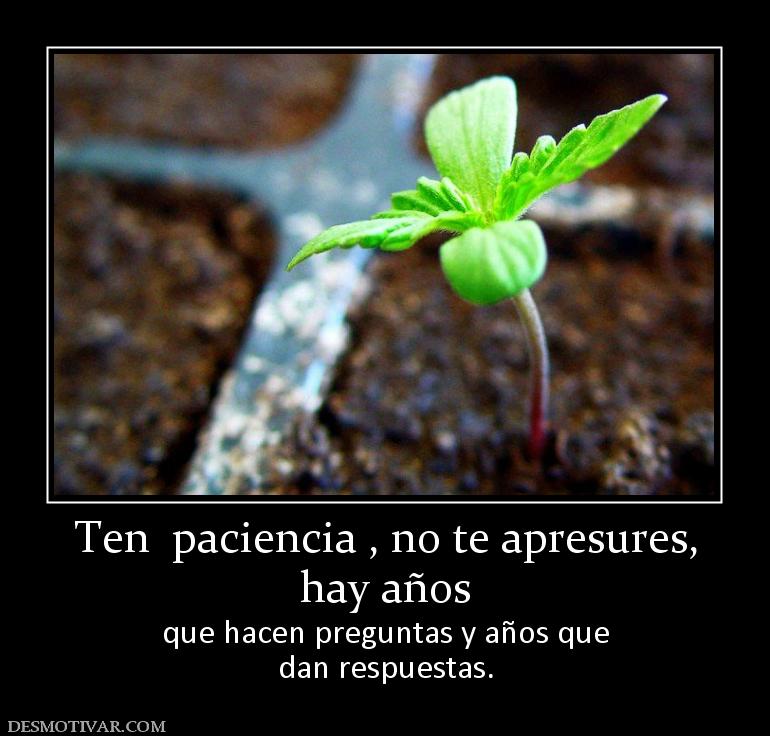Ten  paciencia , no te apresures, hay años  que hacen preguntas y años que dan respuestas.