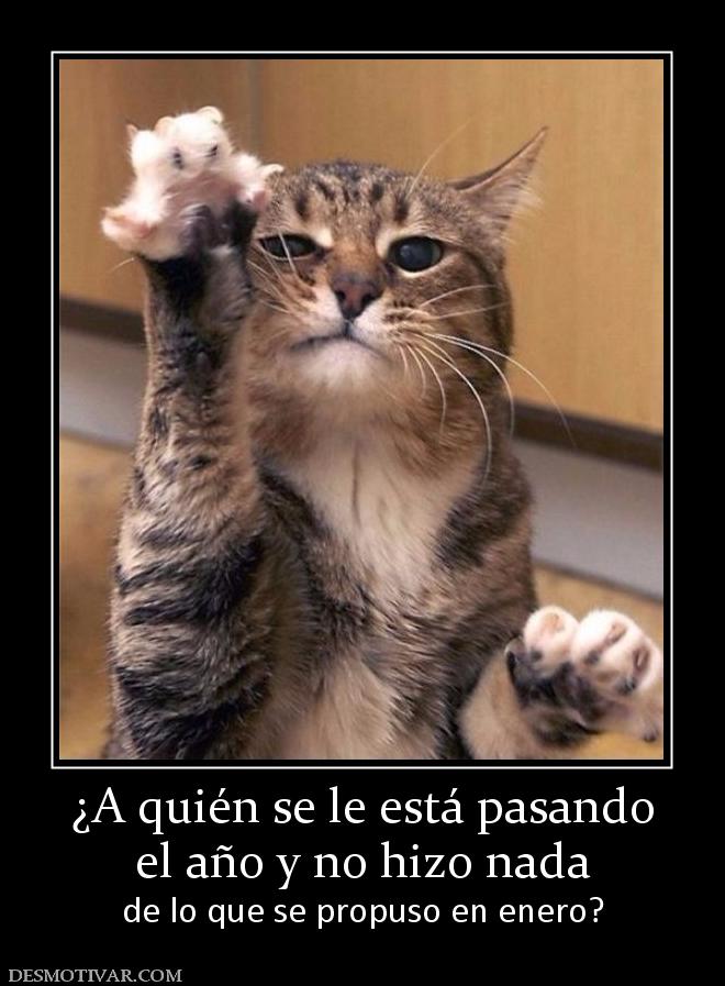 ¿A quién se le está pasando el año y no hizo nada de lo que se propuso en enero?