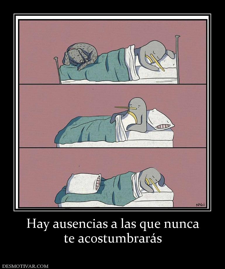 Hay ausencias a las que nunca te acostumbrarás