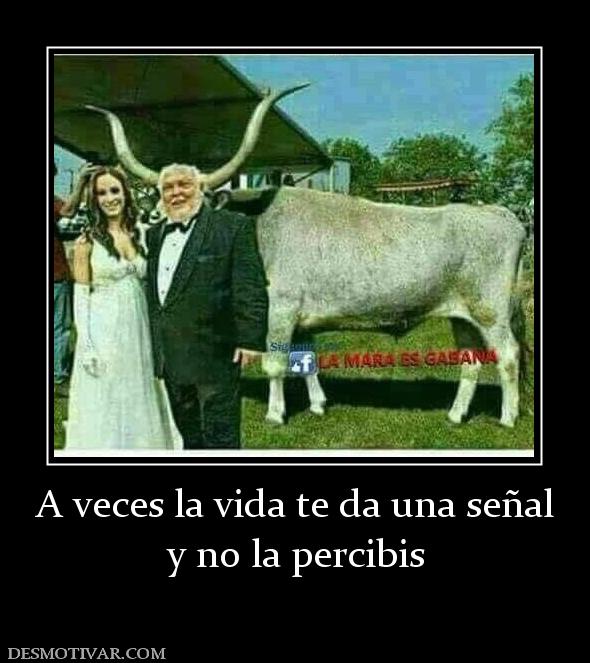 A veces la vida te da una señal y no la percibis