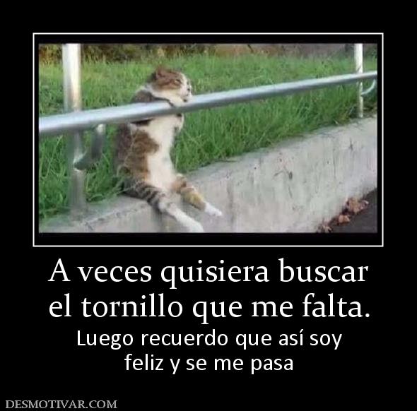 A veces quisiera buscar el tornillo que me falta. Luego recuerdo que así soy feliz y se me pasa