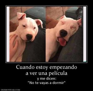 Cuando estoy empezando a ver una película y me dicen: