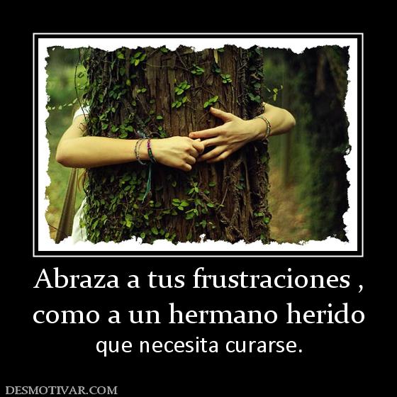 Abraza a tus frustraciones , como a un hermano herido  que necesita curarse.