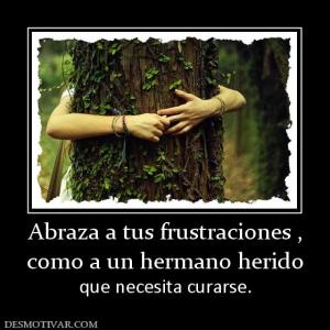 Abraza a tus frustraciones , como a un hermano herido  que necesita curarse.