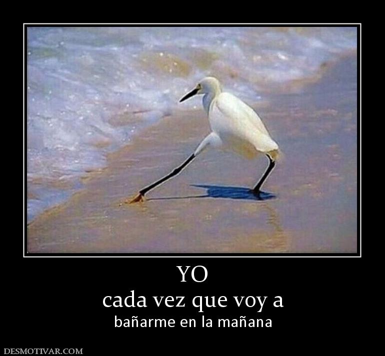 YO cada vez que voy a  bañarme en la mañana