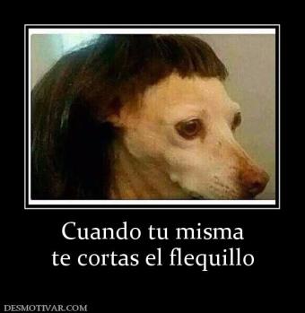 Cuando tu misma te cortas el flequillo