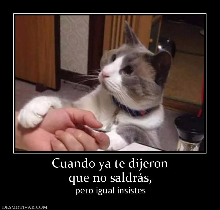 Cuando ya te dijeron que no saldrás, pero igual insistes
