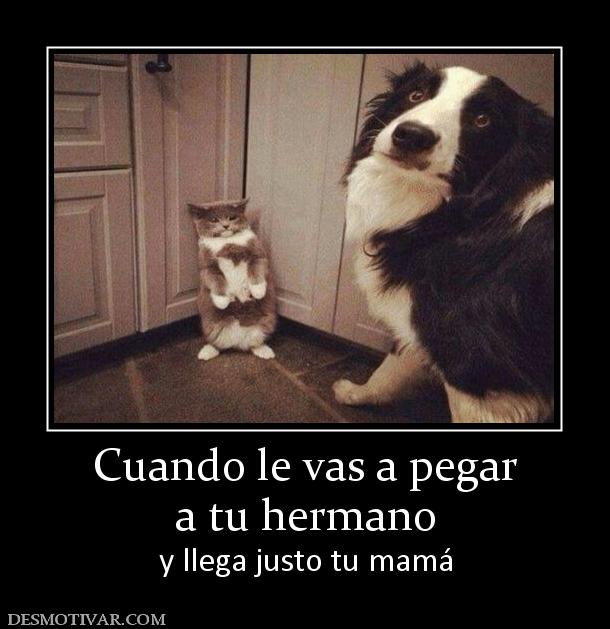 Cuando le vas a pegar a tu hermano y llega justo tu mamá