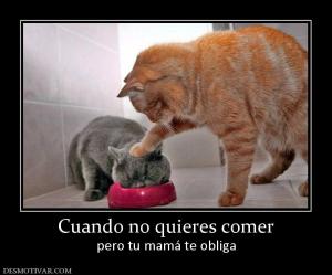 Cuando no quieres comer pero tu mamá te obliga