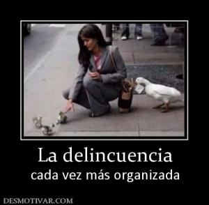 La delincuencia cada vez más organizada