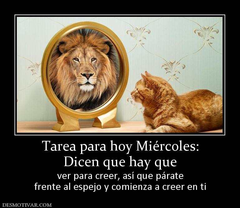 Tarea para hoy Miércoles: Dicen que hay que  ver para creer, así que párate frente al espejo y comienza a creer en ti