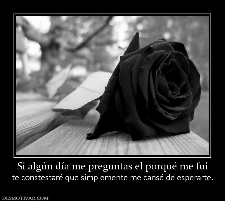 Si algún día me preguntas el porqué me te constestaré que simplemente me cansé de esperarte.