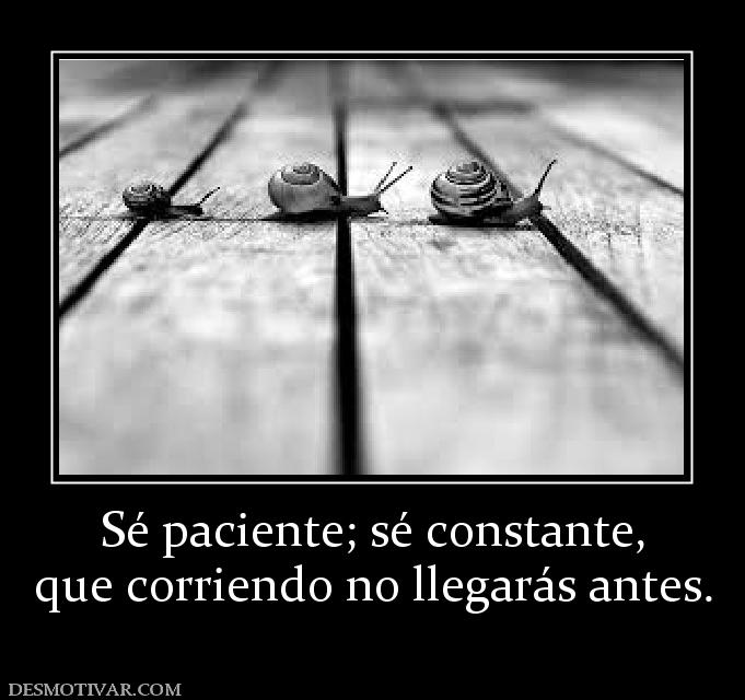 Sé paciente; sé constante, que corriendo no llegarás antes.