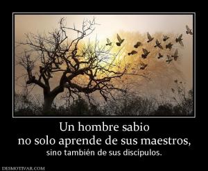 Un hombre sabio no solo aprende de sus maestros, sino también de sus discípulos.