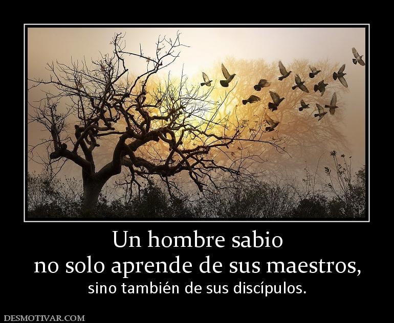 Un hombre sabio no solo aprende de sus maestros, sino también de sus discípulos.